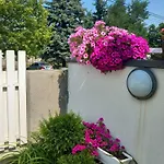 In - Balaton 48116 Apartamento *