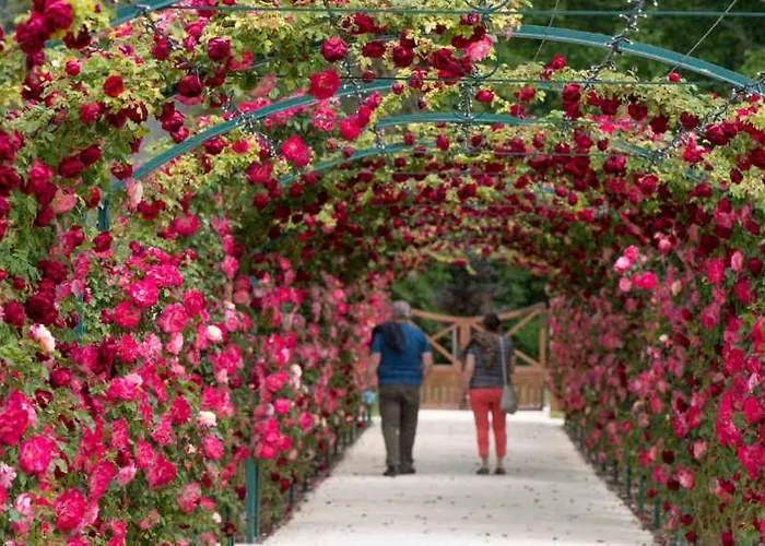 In - Balaton 48116 *